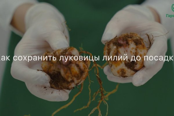 Кракен актуальное зеркало 2kmp