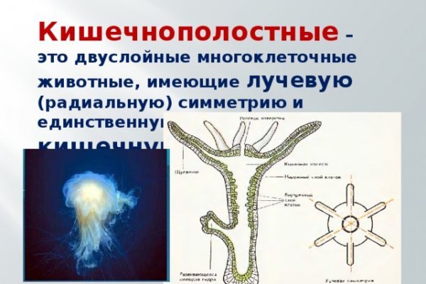 Кракен рабочая ссылка 2024