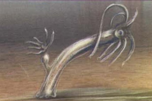 Kra28.at