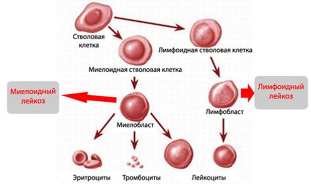 Кракен 17 вход